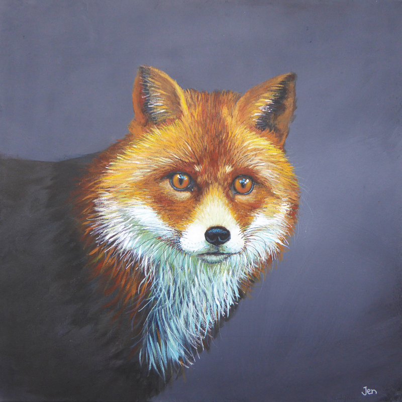 fox portrait against a dark background by jenny urquhart