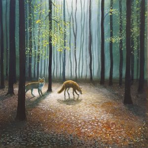 two foxes walking amongst beech trees in a wood by jenny urquhart